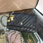 Chanel Wallet On Chain – WOC Classic Caviar Gold-Toned Metal Black