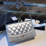 Chanel Wallet On Chain – WOC Aged & Smooth Calfskin Metallic Silver