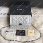 Chanel Le Boy Wallet On Chain – WOC White Caviar Silver-Toned