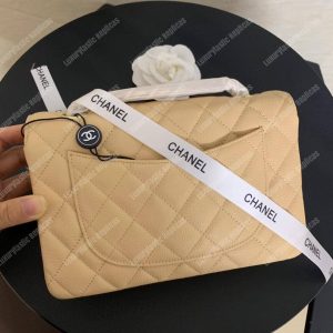 Chanel Mini Flap Bag Beige - Image 6