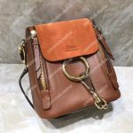 Chloe Mini Faye Backpack In Smooth And Suede Calfskin Brown