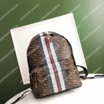 Burberry Monogram Stripe Print E-Canvas Backpack Bridle Brown