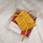 Celine Nano Belt Bag In Grained Calfskin Ocre
