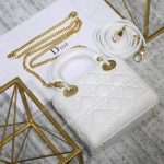 Mini Lady Dior Lambskin Bag Storm White Gold-Tone Metal
