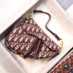 Mini Dior Burgundy Oblique Saddle Bag