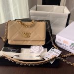 Chanel 19 Wallet on Chain Beige
