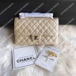 Chanel Medium Classic Flap Bag Iridescent Beige