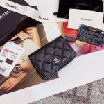 Classic Zipped Card Holder Silver Toned Lambskin Black