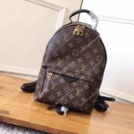 LV 2016 Palm Springs Backpack PM Monogram