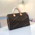 LV Speedy 35 Monogram Canvas