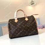 LV Speedy 30 Monogram Canvas