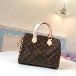 LV Speedy 25 Monogram Canvas