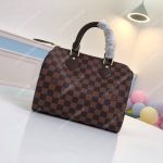 LV Speedy 25 Damier Ebene