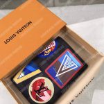 LV Passport Cover Damier Graphite Alps