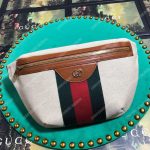 Gucci Vintage Canvas Belt Bag