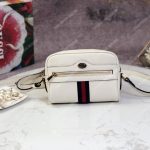 Gucci Ophidia Leather Mini Bag White