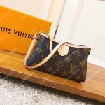 LV Delightful Mini Pochette Monogram Canvas
