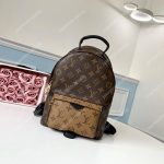 LV Palm Springs PM Monogram Reverse