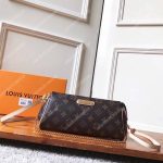 Louis Vuitton Monogram Canvas Eva Clutch