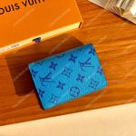 LV Passport Cover Blue
