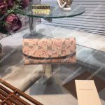 LV Emilie Wallet Damier Azur Canvas