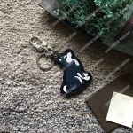 LV Dog Bag Charm And Key Holder