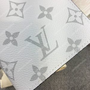 LV Passport Cover Taiga Monogram White - Image 5