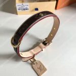 LV Baxter Dog Collar PM Monogram