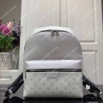 LV Discovery Backpack PM Taiga Leather Monogram White