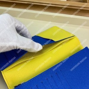 LV Brazza Wallet Epi Leather Damier Graphite - Image 7