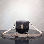 LV Monogram Saint Cloud PM