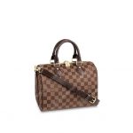 LV Speedy Bandouliere 25 Damier Ebene