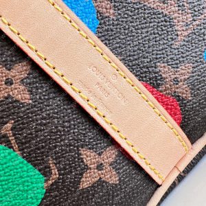 Louis Vuitton LV X YK SPEEDY BANDOULIÈRE 25​ Brown M46433 - Image 3