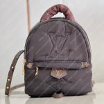Louis Vuitton PALM SPRINGS MINI Brown M21060