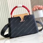 Louis Vuitton CAPUCINES MM Black M20704