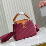 Louis Vuitton CAPUCINES MINI Griotte Red / Honey N81409