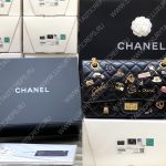 Chanel Reissue Paris Charms 18P