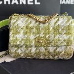 CHANEL 19 HANDBAG MULTICOLOR AS1161