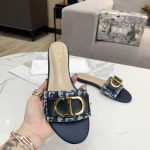 DIOR SLIDE BLUE & BEIGE KCQ266VEA
