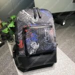 Berluti.  Volume背包样式Scritto防撕裂尼龙 底部采用头层牛皮 防水表面处理（包括防水拉链)黑色尼龙衬里。手提式:一个提手